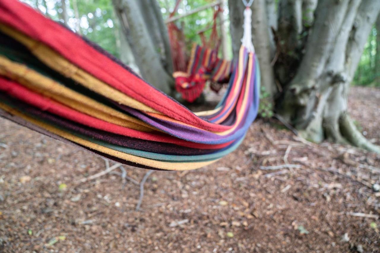 Gite Calypso De 14 Personnes Fecamp Etretat Colleville Dış mekan fotoğraf